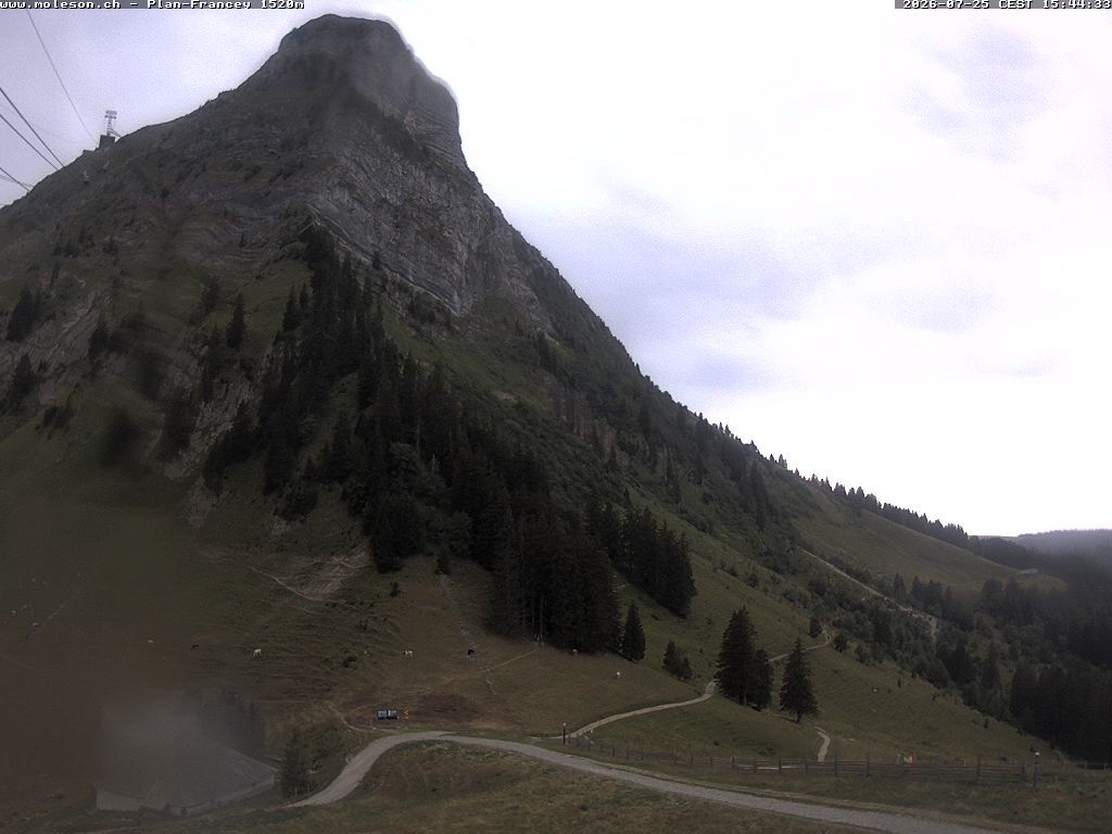 Moléson › Südwesten: Bike Park Moléson - Via Ferrata Moléson