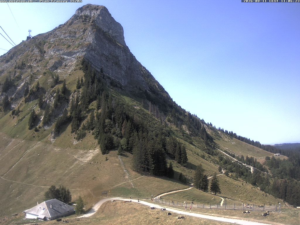 Moléson › Südwesten: Bike Park Moléson - Via Ferrata Moléson