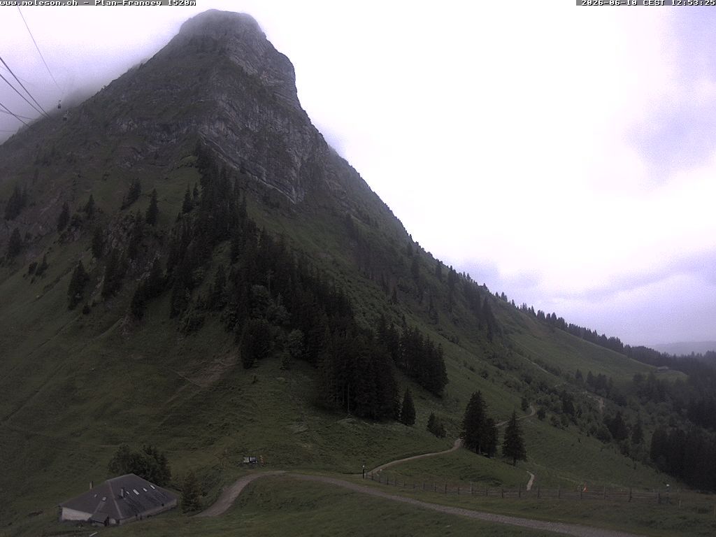 Moléson › Südwesten: Bike Park Moléson - Via Ferrata Moléson