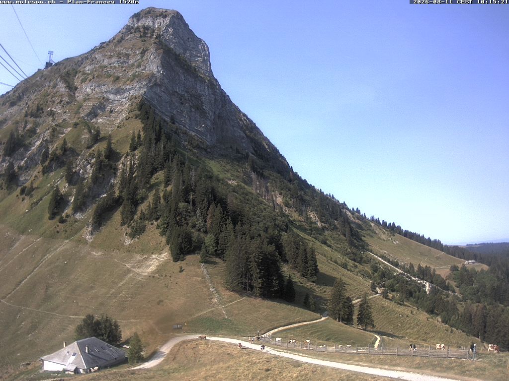 Moléson › Südwesten: Bike Park Moléson - Via Ferrata Moléson