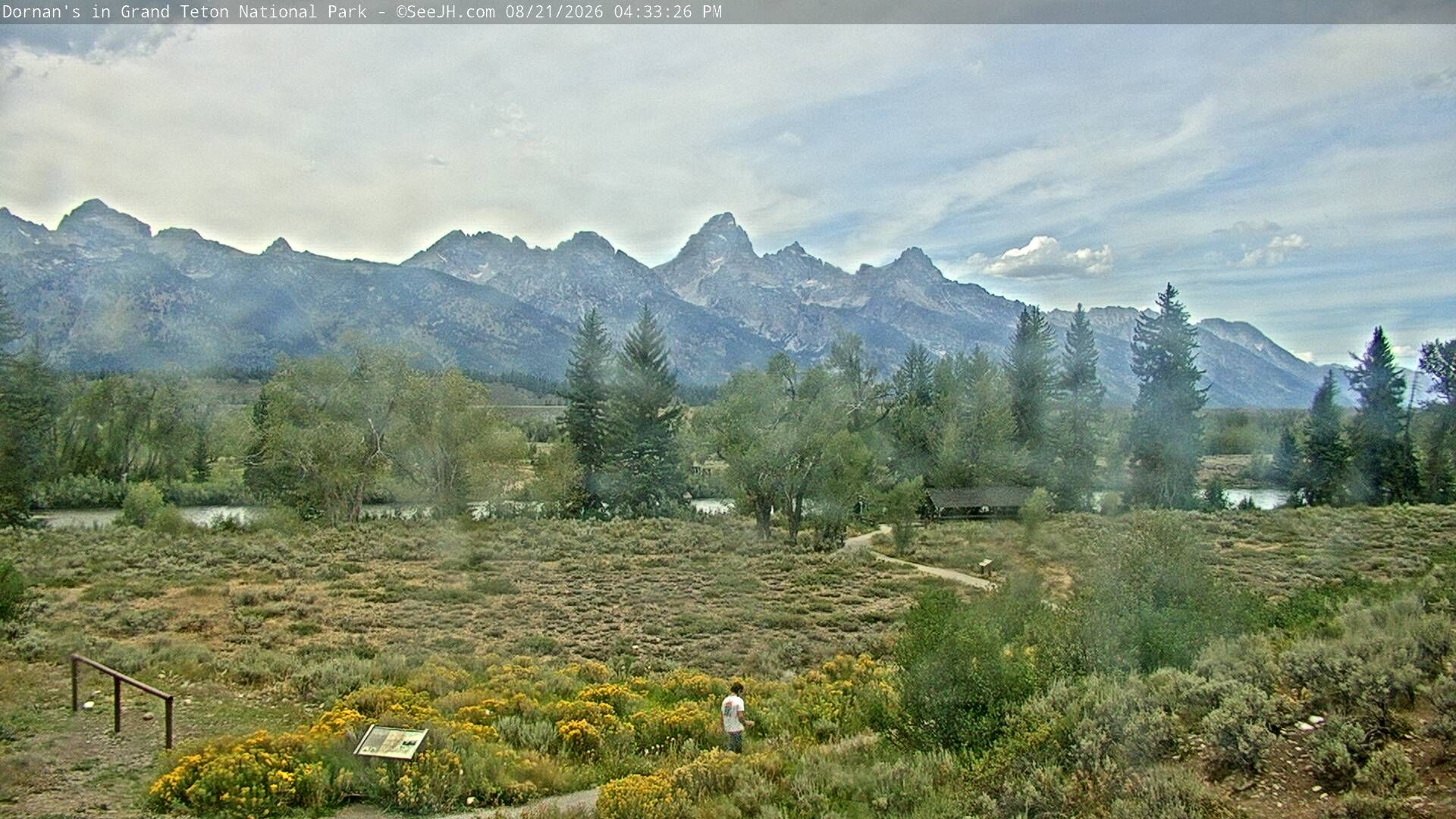Traffic Cam Moose: Dornans