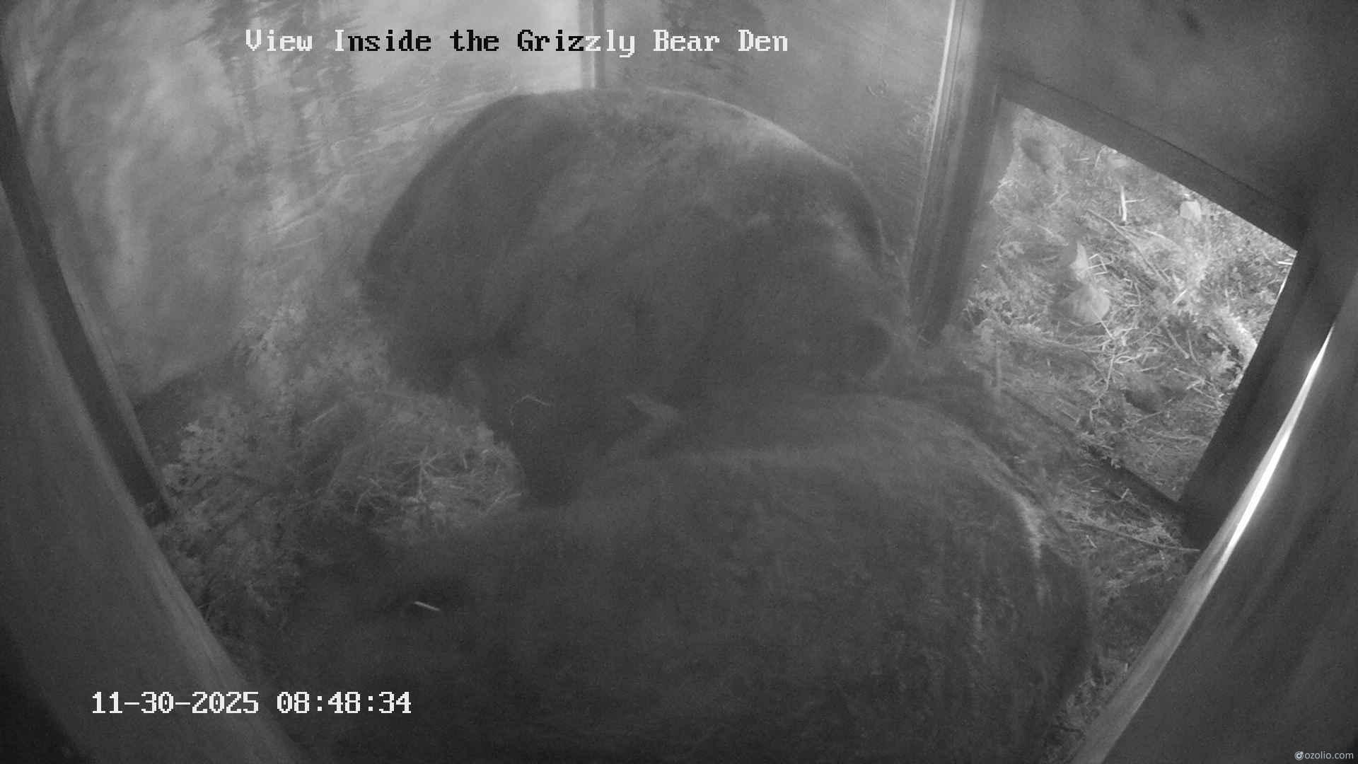 Traffic Cam District of North Vancouver › South: Grouse Mountain