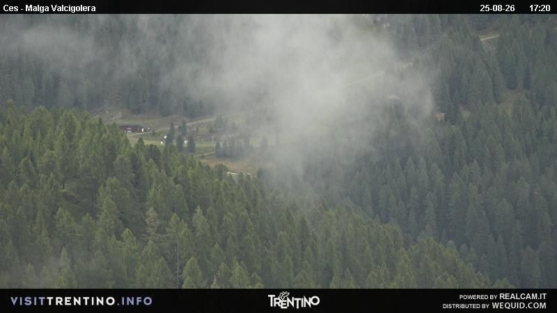 Traffic Cam San Martino di Castrozza: Malga Valcigolera - San Martino
