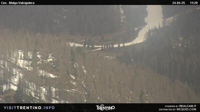 Preview delle webcam di San Martino di Castrozza: Malga Valcigolera - San Martino