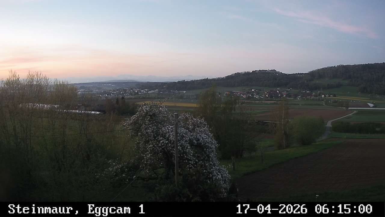 Steinmaur › Süden: Regensberg