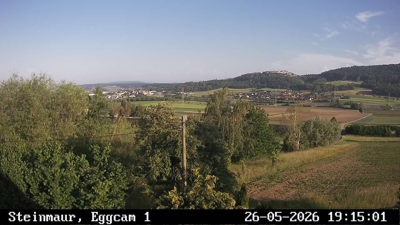Steinmaur › Süden: Regensberg