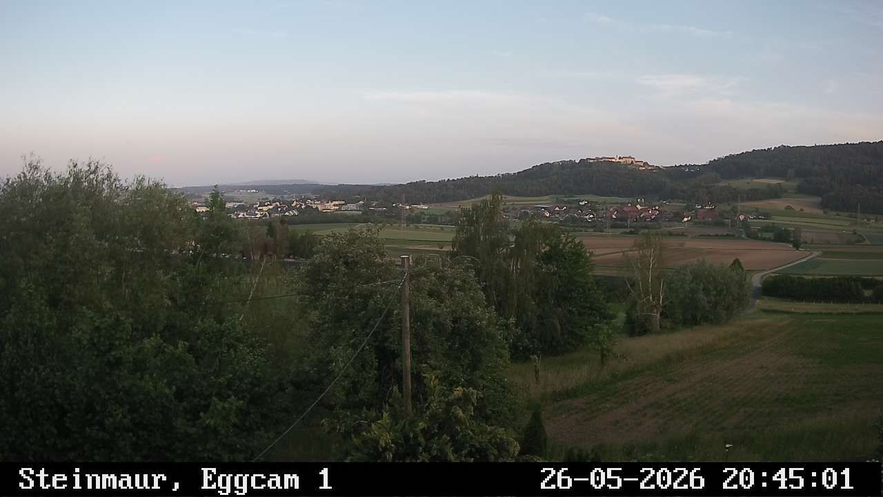 Steinmaur › Süden: Regensberg