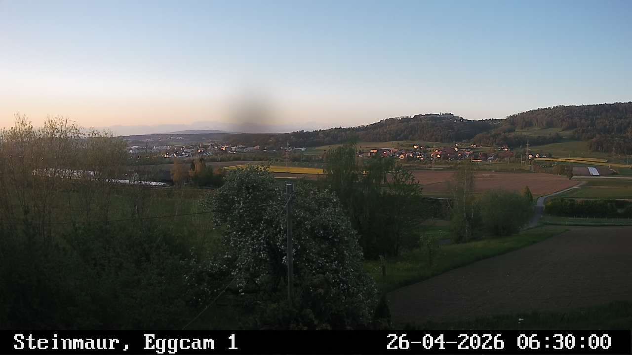 Steinmaur › Süden: Regensberg