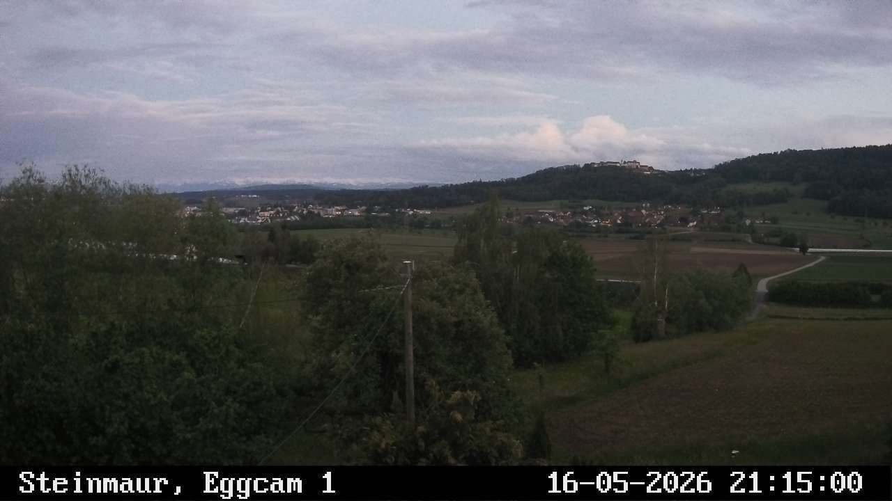 Steinmaur › Süden: Regensberg