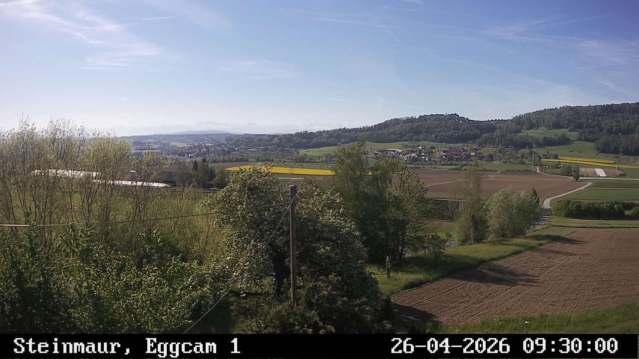 Steinmaur › Süden: Regensberg