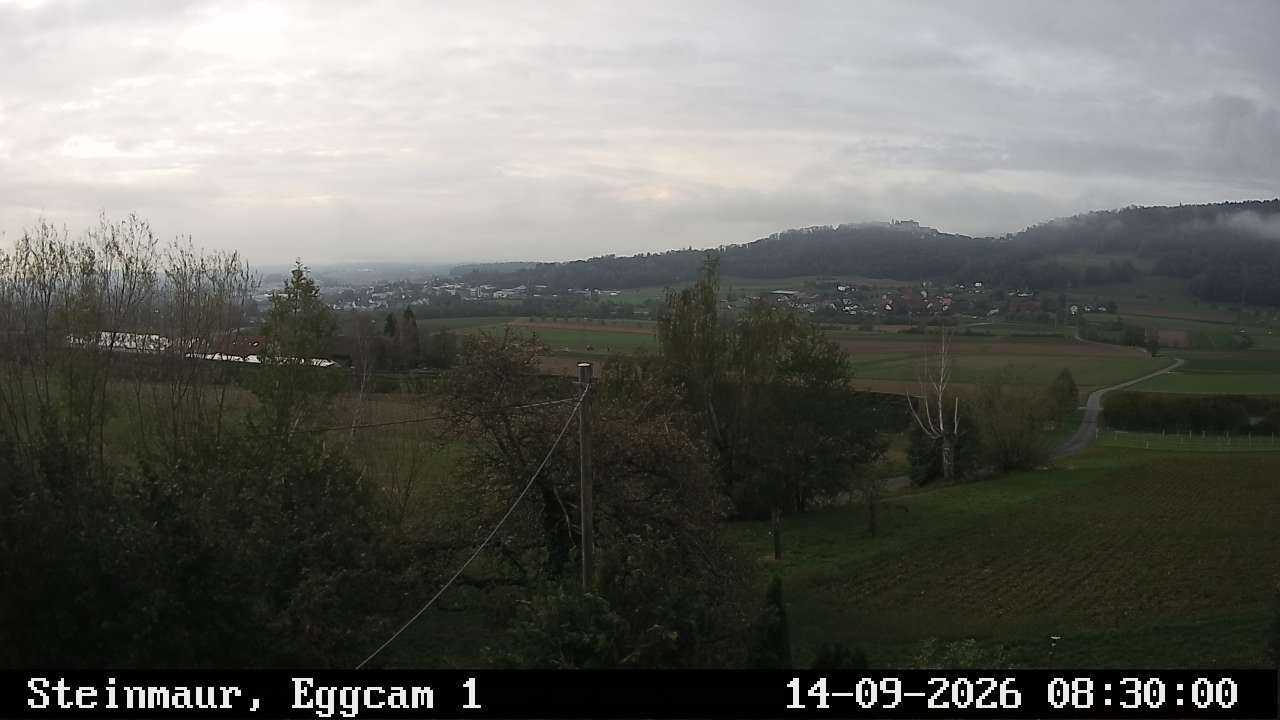 Steinmaur › Süden: Regensberg