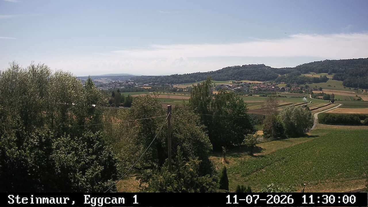 Steinmaur › Süden: Regensberg
