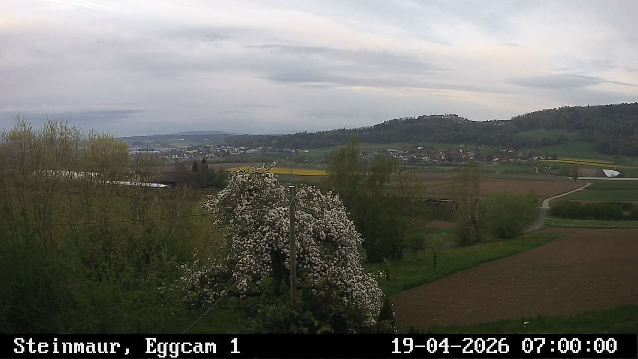 Steinmaur › Süden: Regensberg