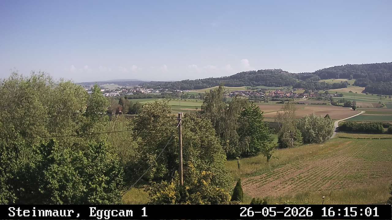 Steinmaur › Süden: Regensberg