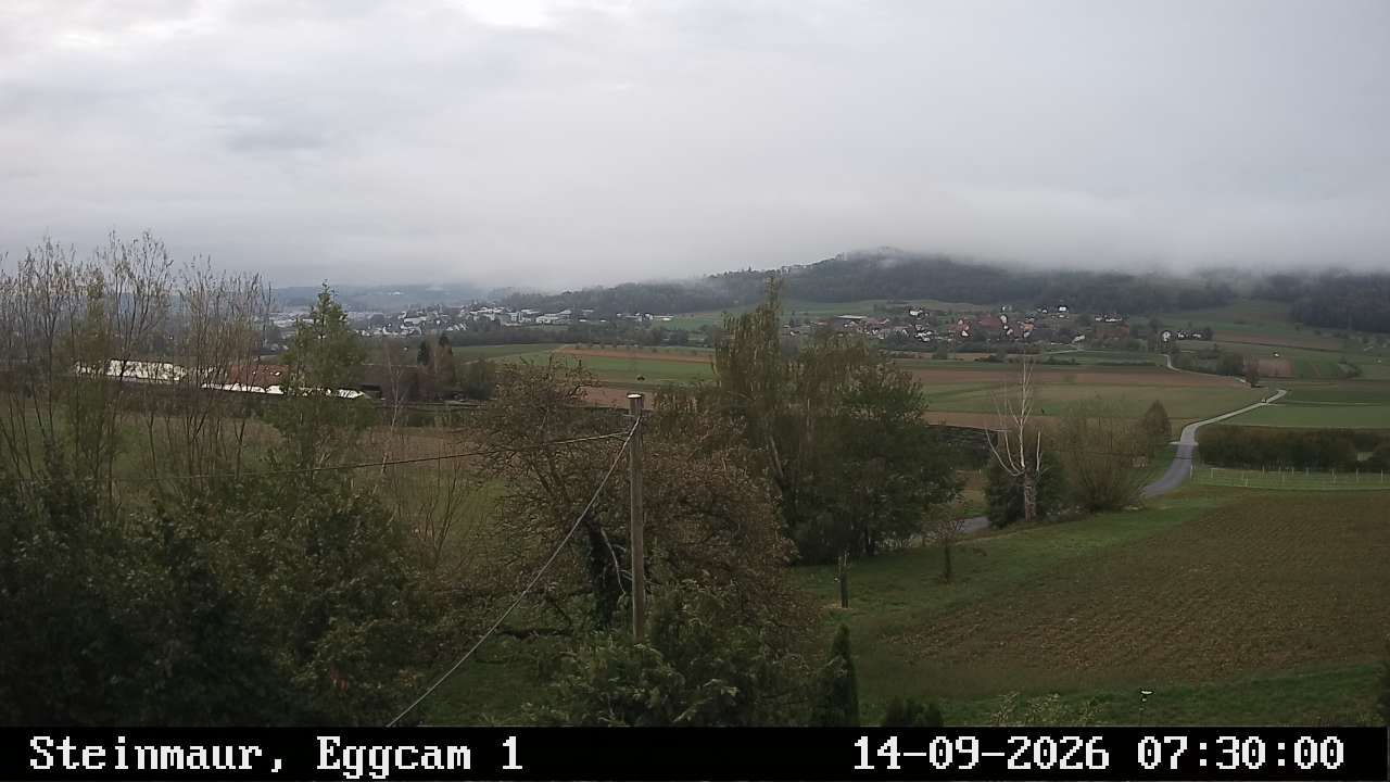 Steinmaur › Süden: Regensberg