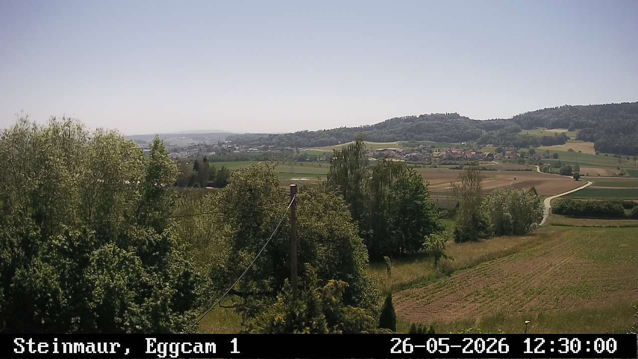 Steinmaur › Süden: Regensberg