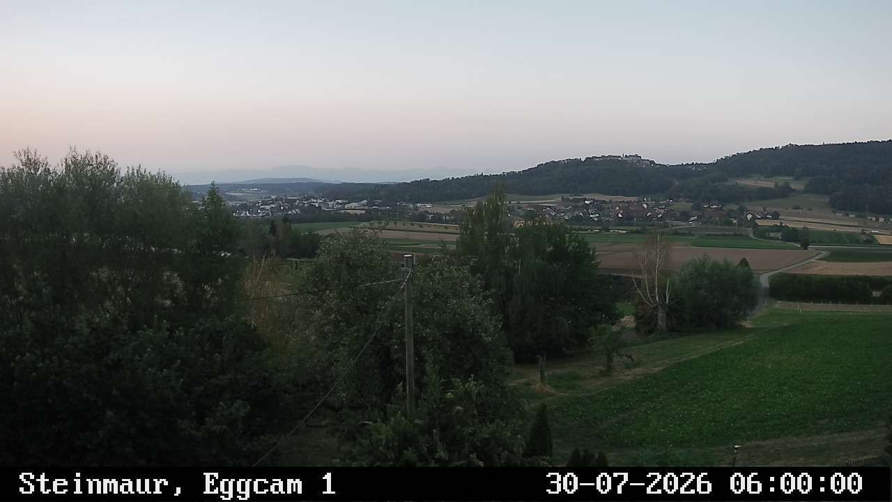 Steinmaur › Süden: Regensberg