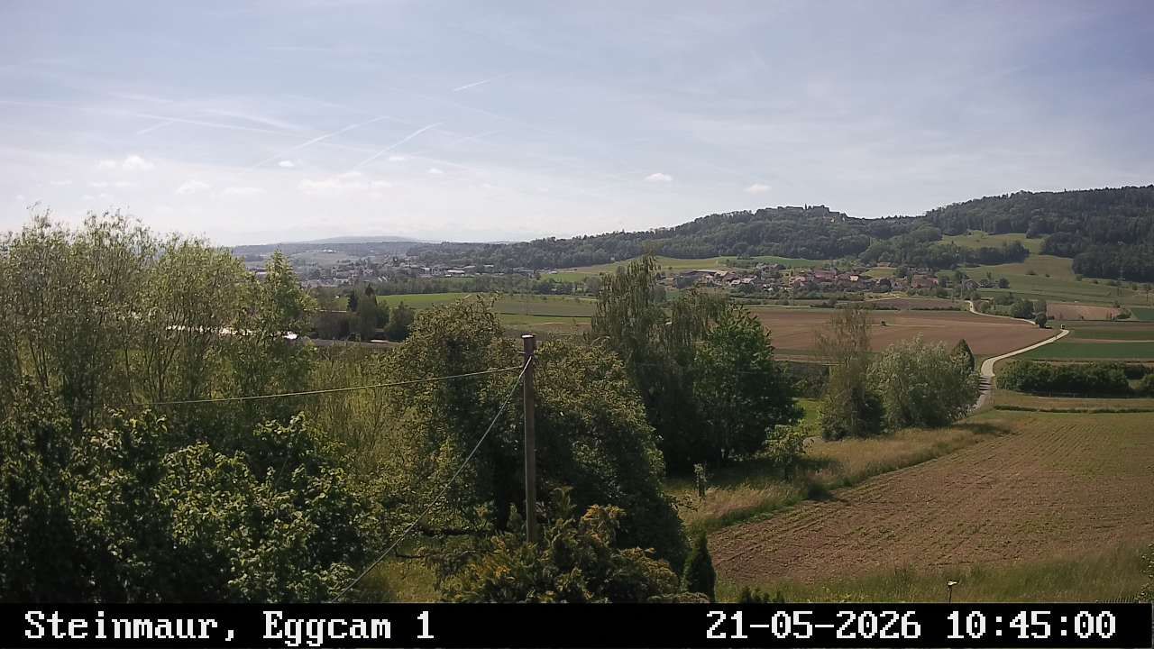 Steinmaur › Süden: Regensberg