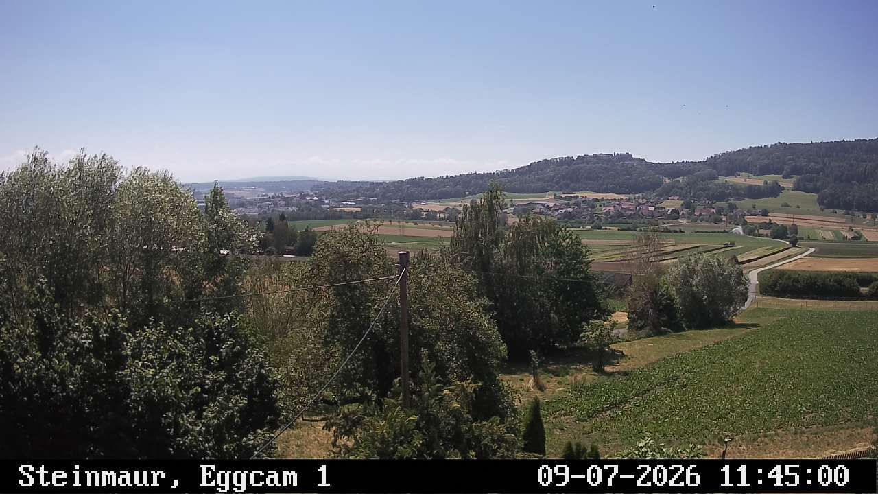 Steinmaur › Süden: Regensberg