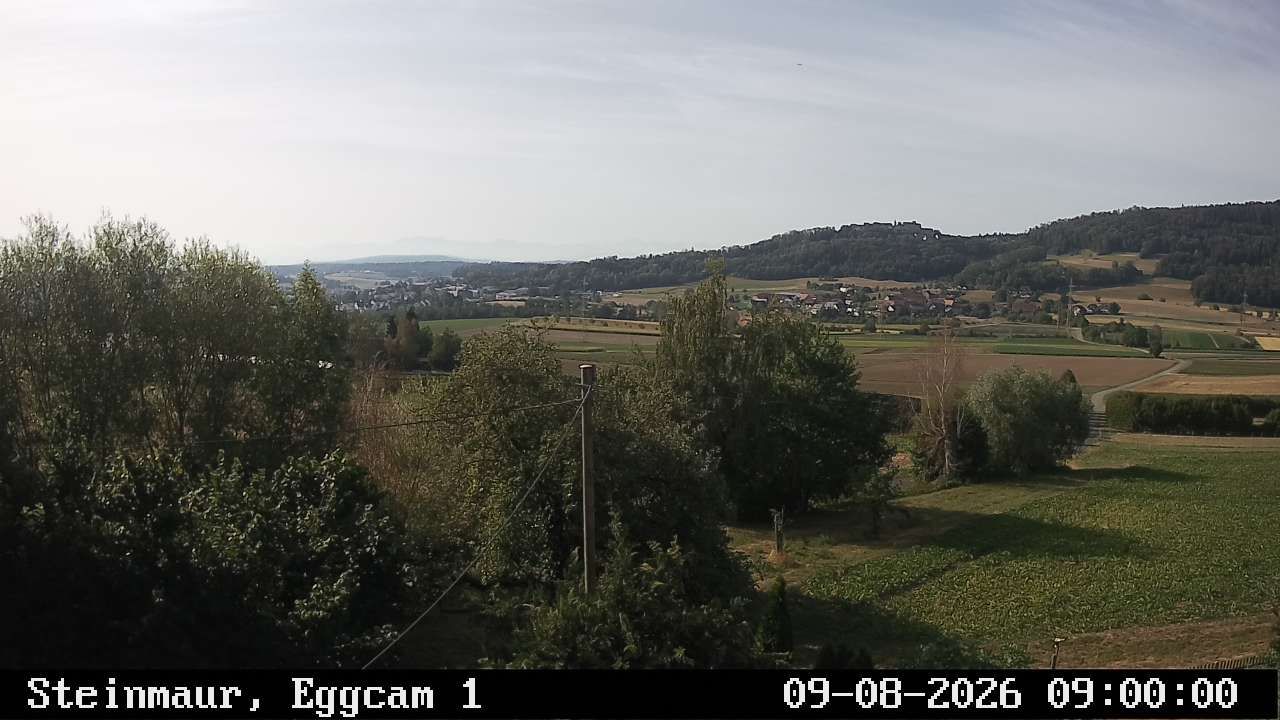 Steinmaur › Süden: Regensberg
