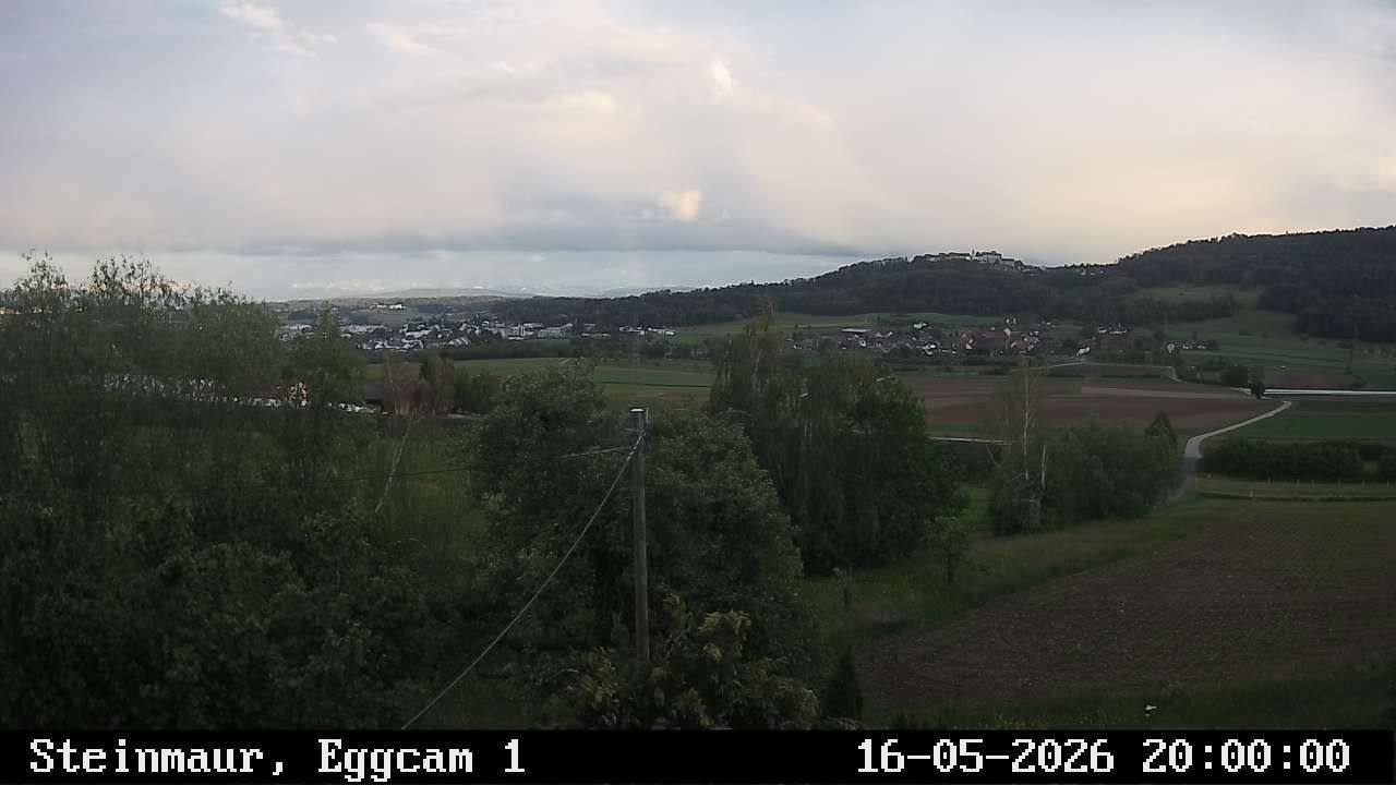 Steinmaur › Süden: Regensberg