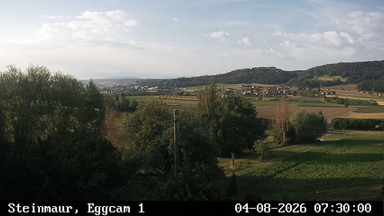 Steinmaur › Süden: Regensberg
