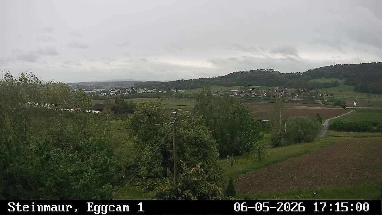Steinmaur › Süden: Regensberg