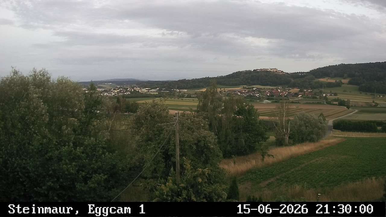 Steinmaur › Süden: Regensberg