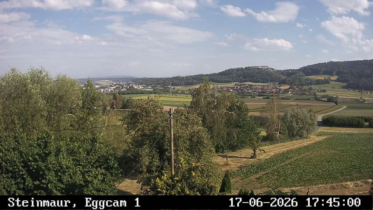 Steinmaur › Süden: Regensberg