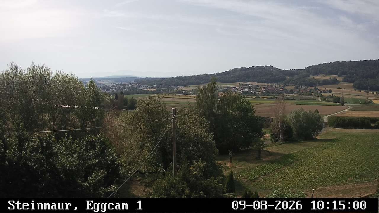 Steinmaur › Süden: Regensberg