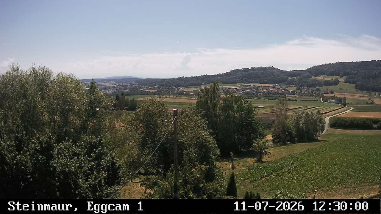 Steinmaur › Süden: Regensberg
