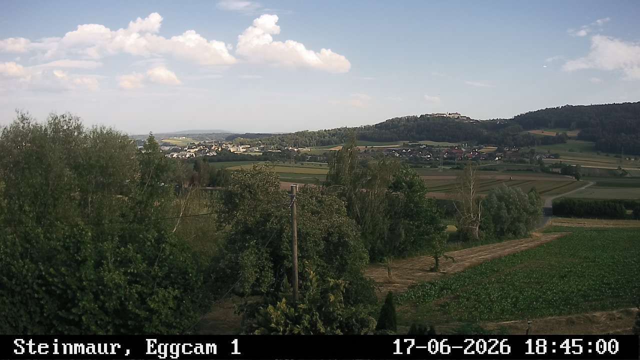 Steinmaur › Süden: Regensberg
