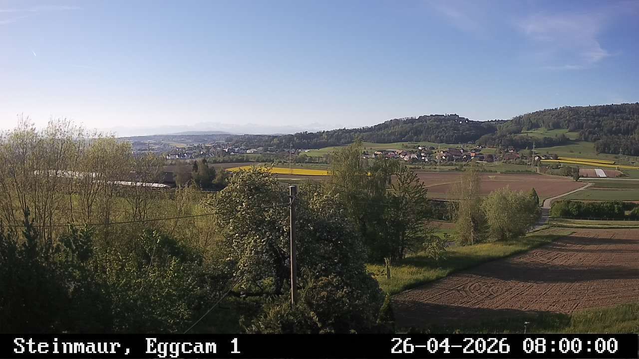 Steinmaur › Süden: Regensberg