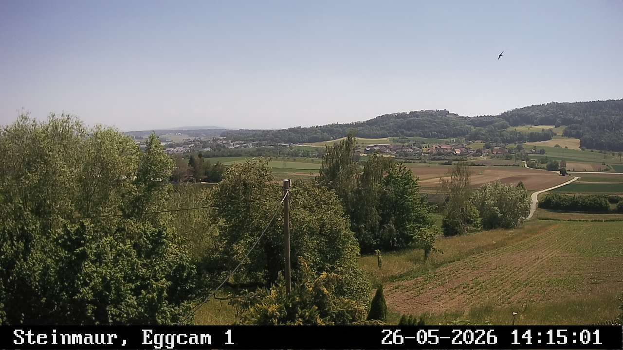 Steinmaur › Süden: Regensberg