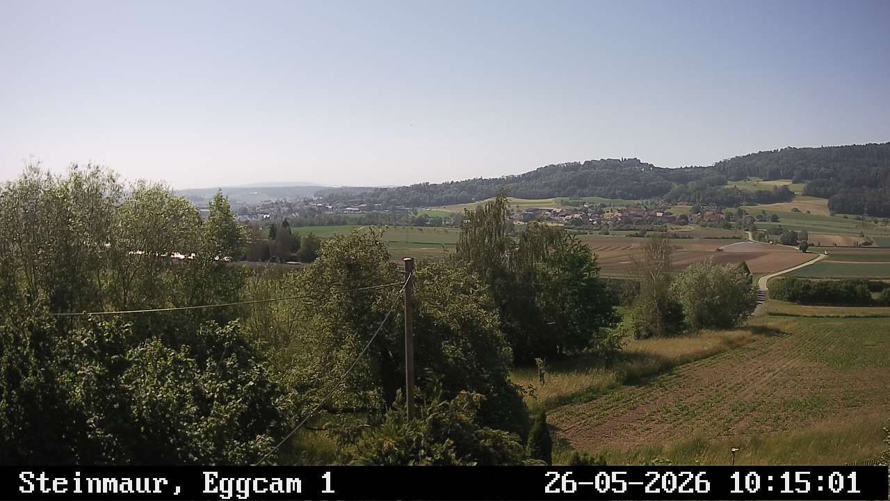 Steinmaur › Süden: Regensberg