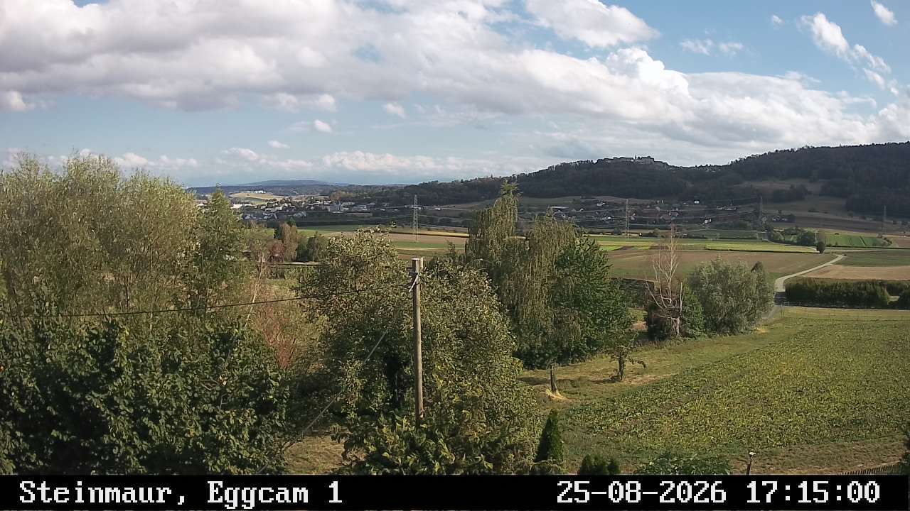 Steinmaur › Süden: Regensberg