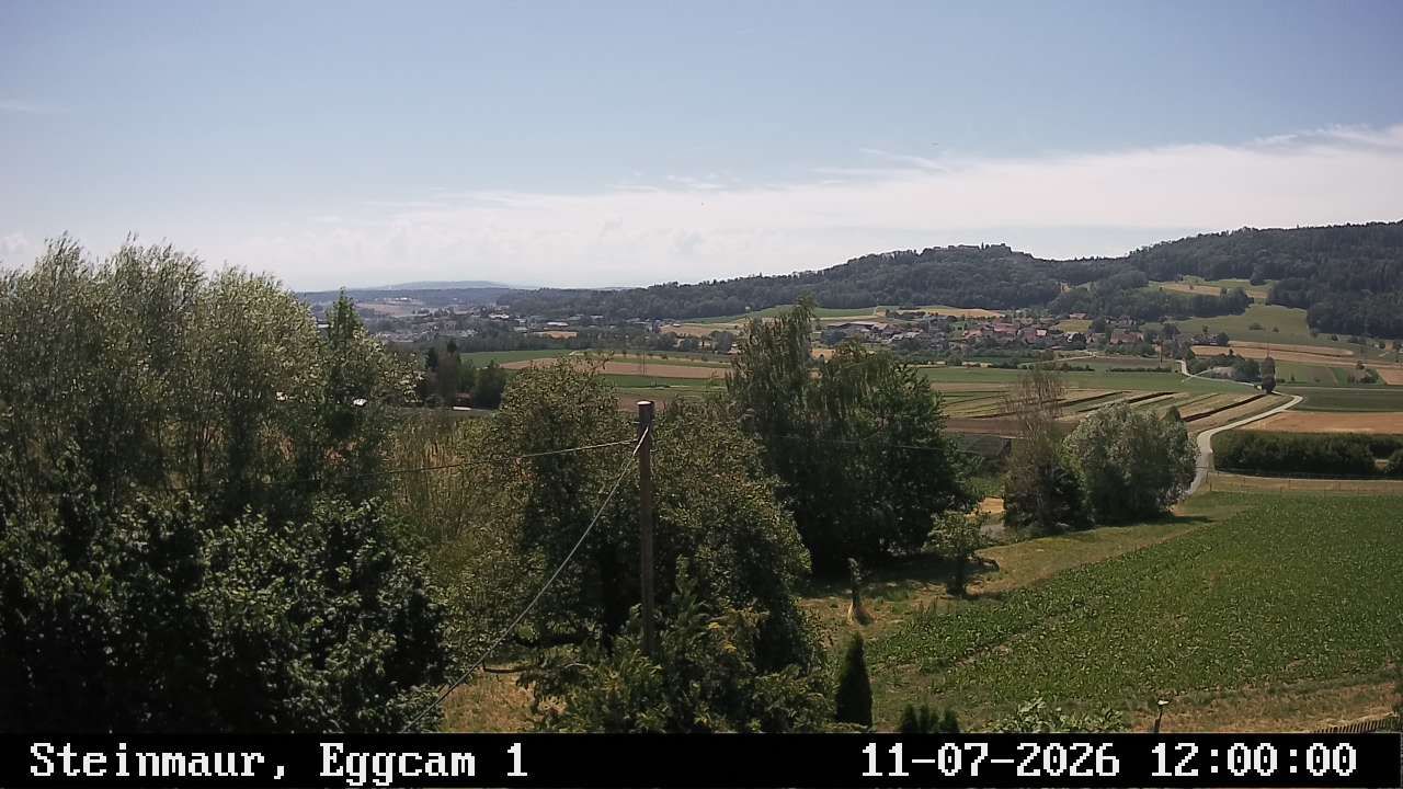 Steinmaur › Süden: Regensberg