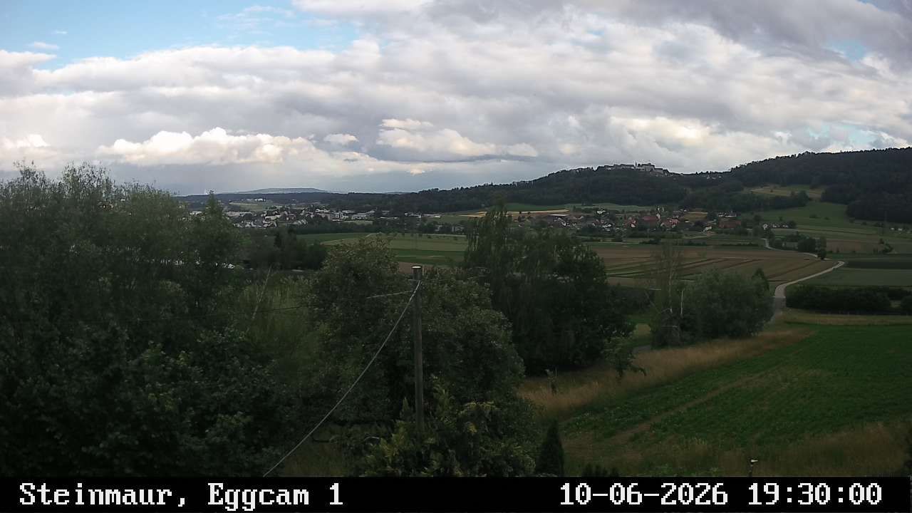 Steinmaur › Süden: Regensberg