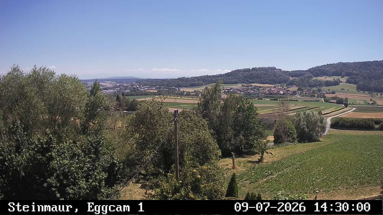 Steinmaur › Süden: Regensberg
