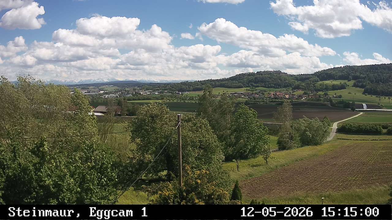 Steinmaur › Süden: Regensberg