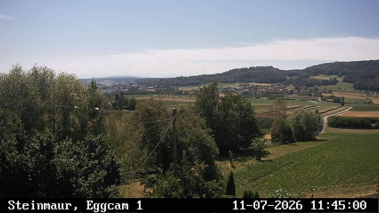 Steinmaur › Süden: Regensberg