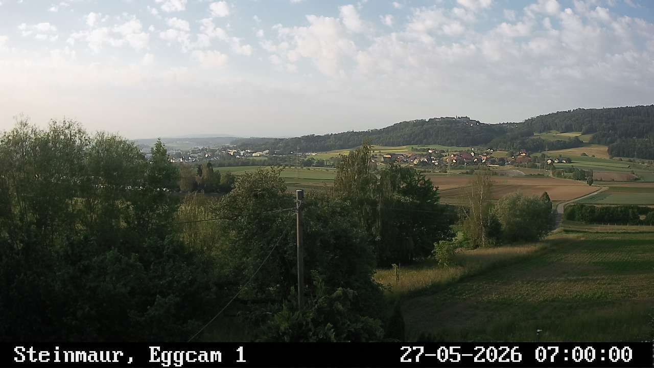 Steinmaur › Süden: Regensberg