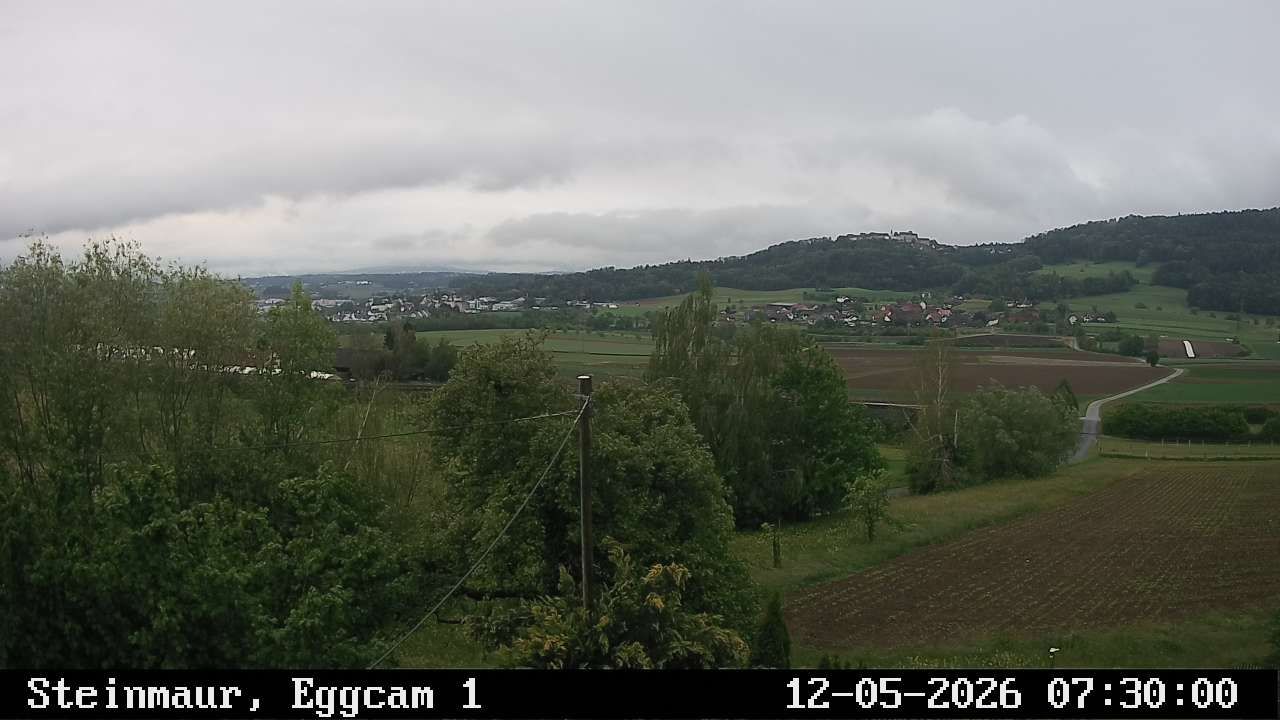 Steinmaur › Süden: Regensberg