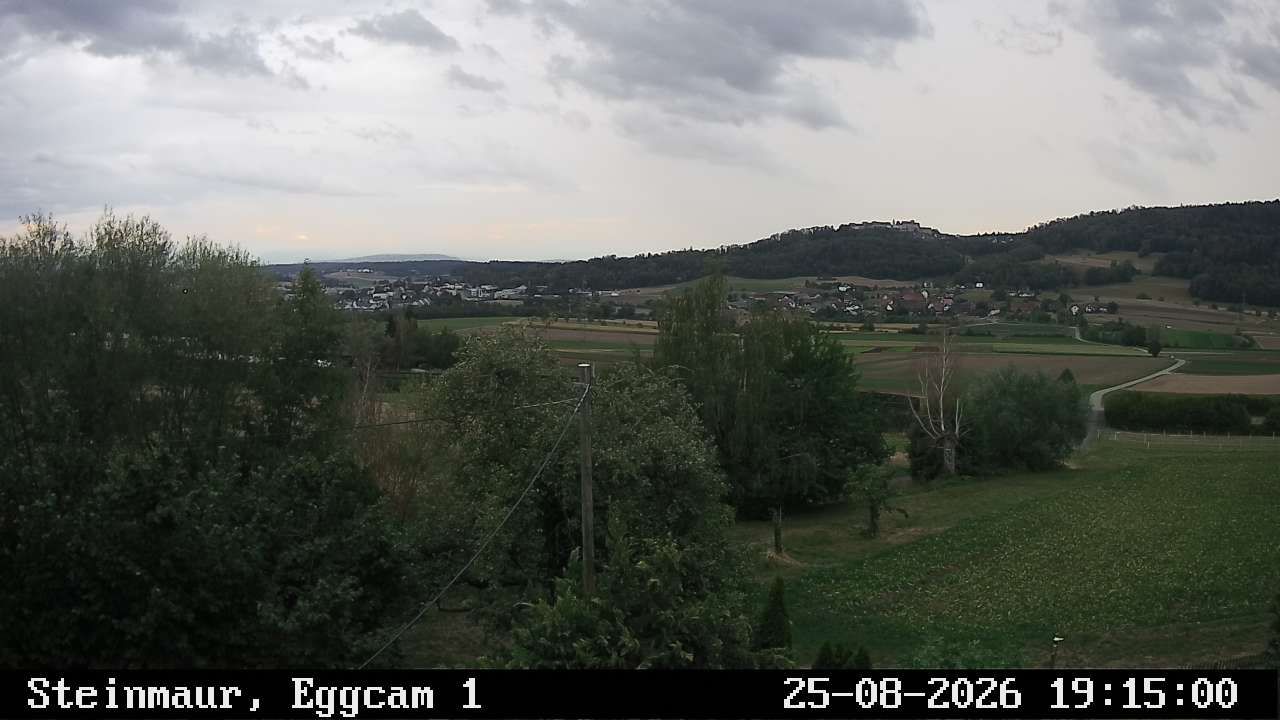 Steinmaur › Süden: Regensberg