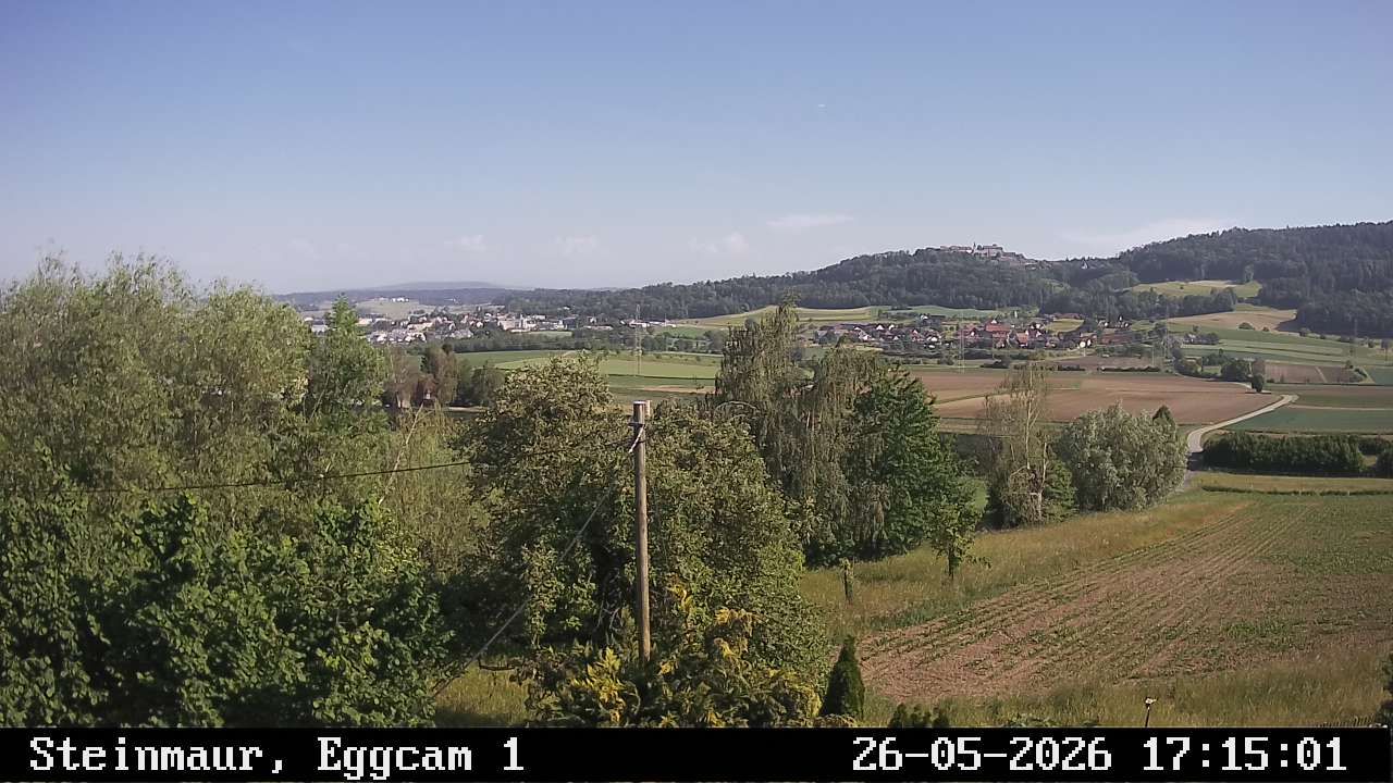 Steinmaur › Süden: Regensberg