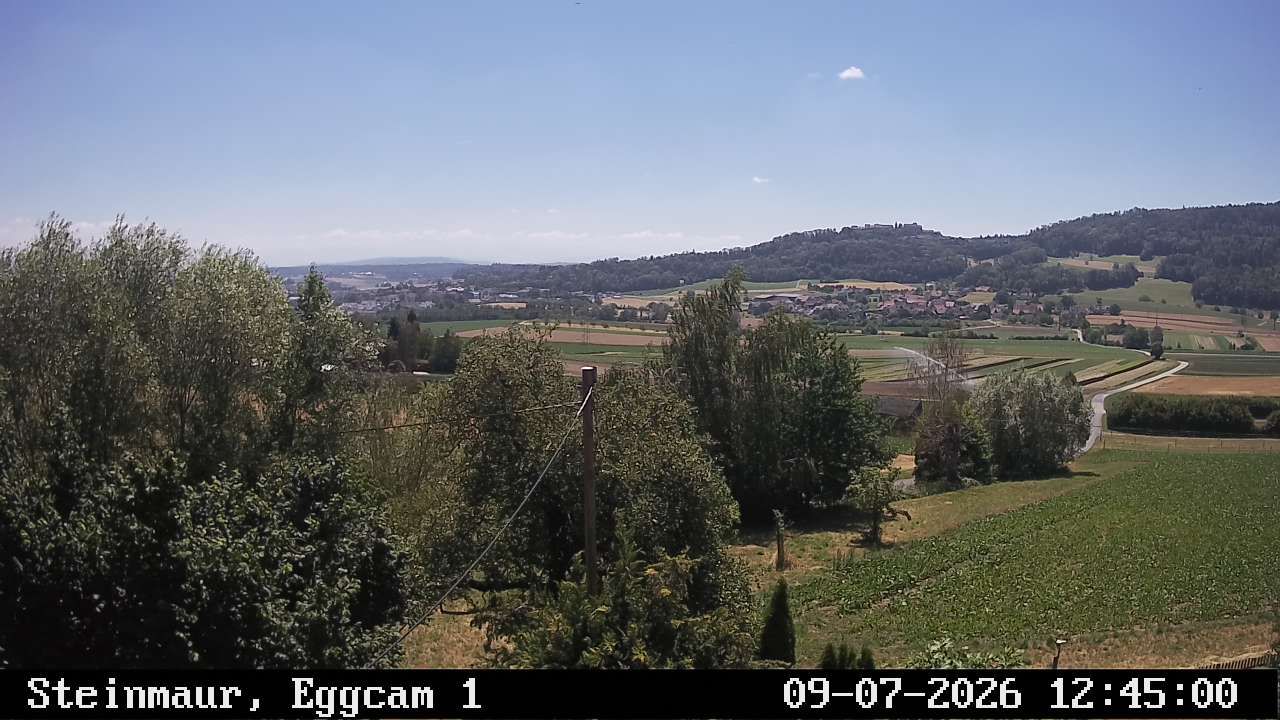 Steinmaur › Süden: Regensberg