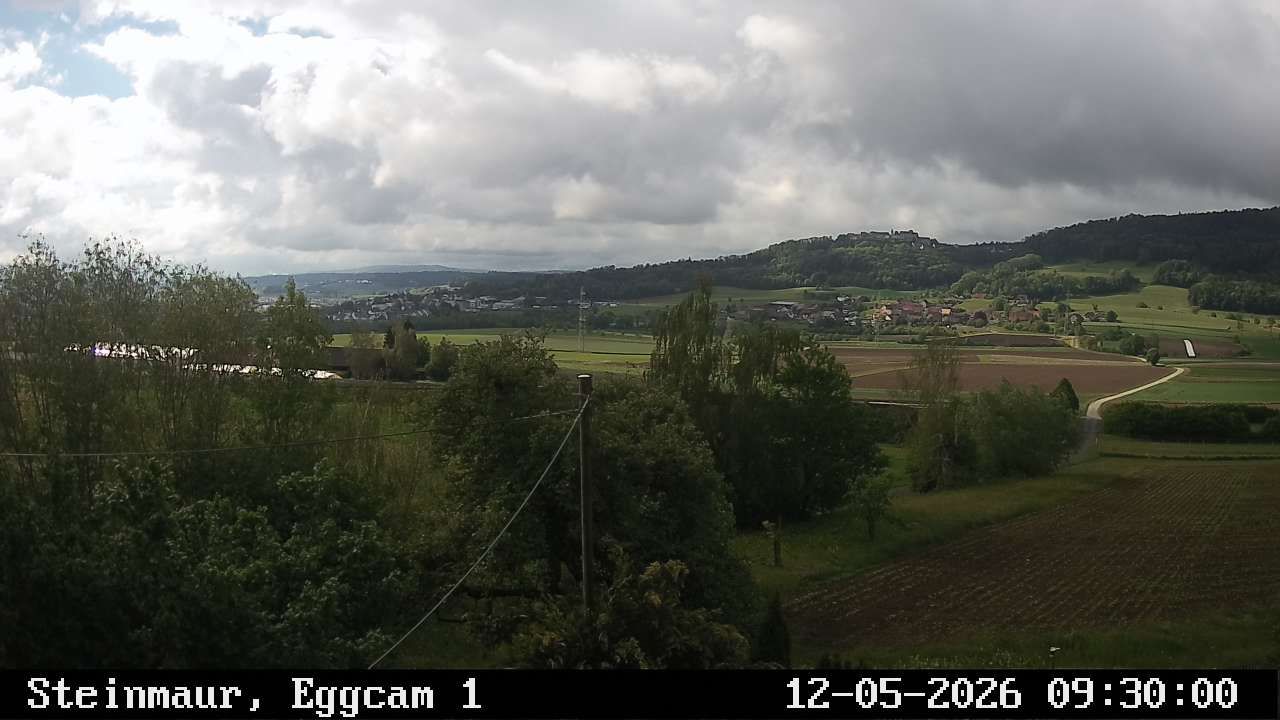 Steinmaur › Süden: Regensberg
