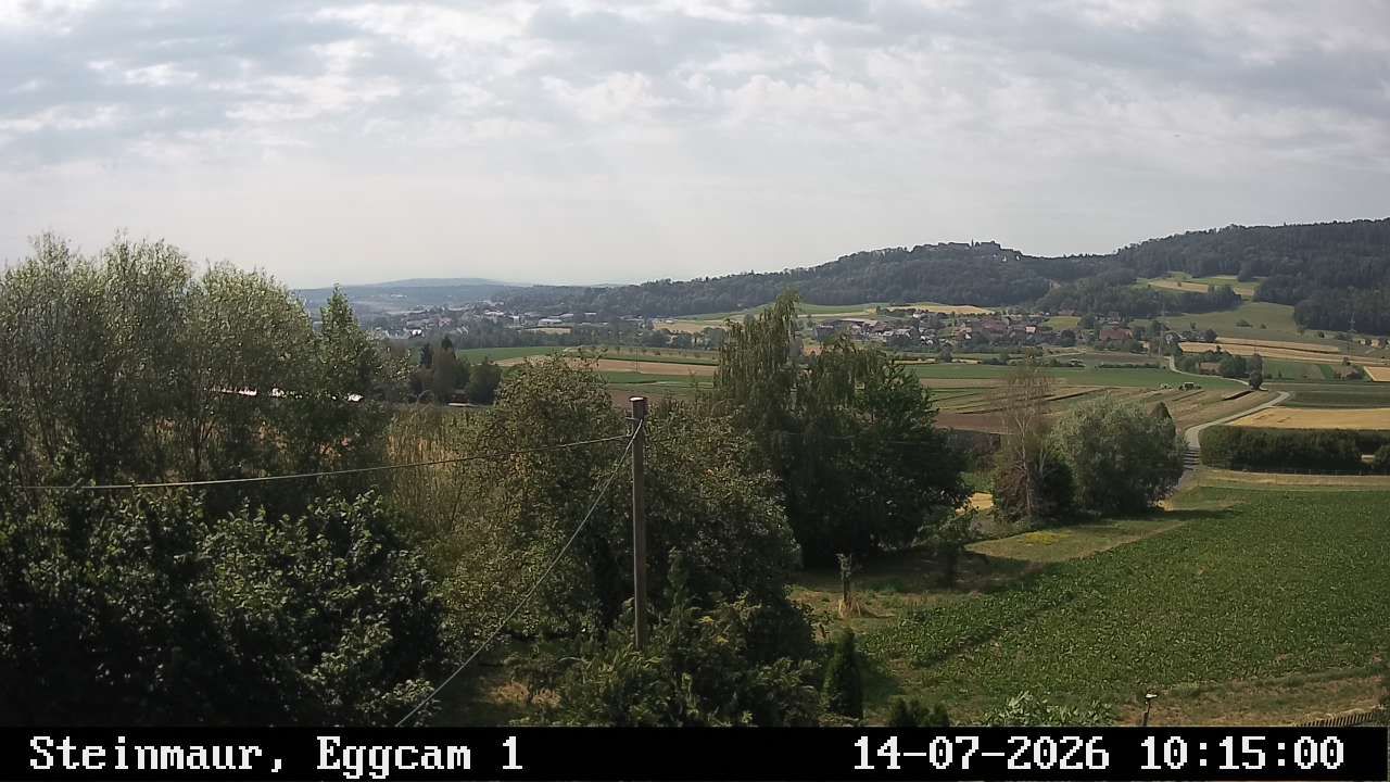 Steinmaur › Süden: Regensberg