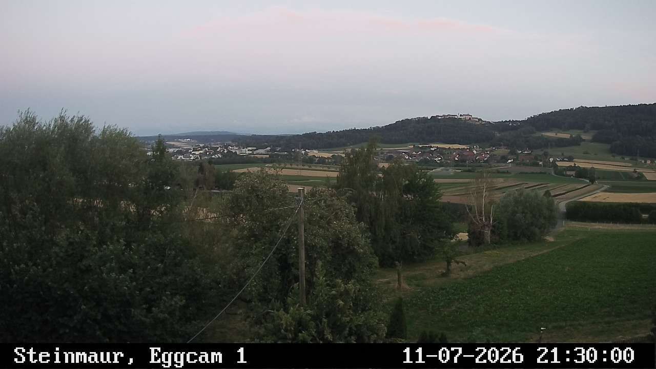 Steinmaur › Süden: Regensberg