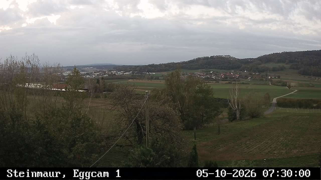 Steinmaur › Süden: Regensberg